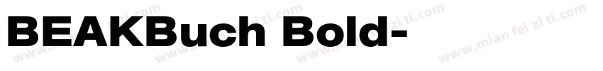BEAKBuch Bold字体转换